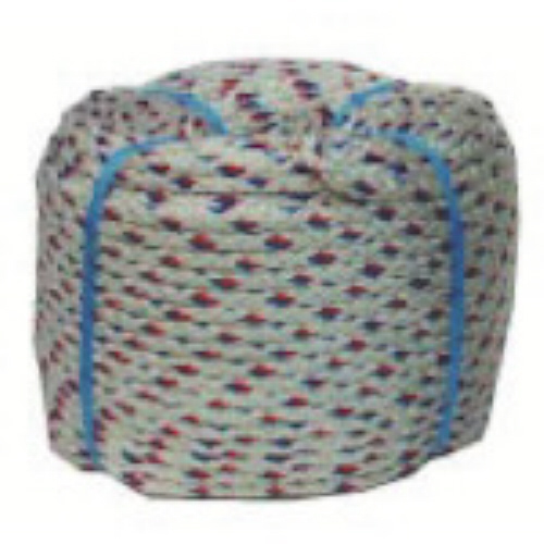 ｸﾛｽﾛ-ﾌﾟ(20201) 1本画像