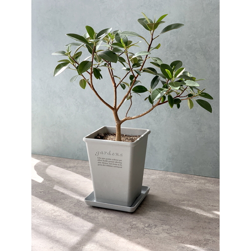 植木鉢　エコポット角型ロング　230　グレー 頑丈な素材感が強調された角型ロング容器の上面