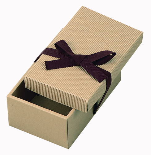 片段ギフトボックス リボン付き（200×120×高85mm）画像