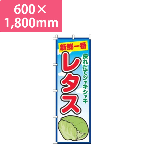 レタス青空画像