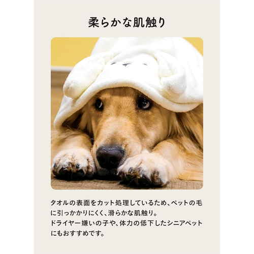 タオル　カラリペットアニマルローブL　イヌ 鮮やかな色合いの動物柄が全面に施されたローブが広げられている様子
