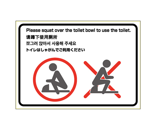 ピタロングトイレの使用方法（和式）　A4画像