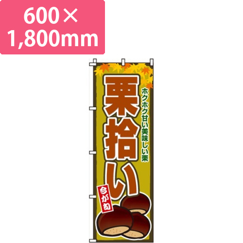 栗拾い栗イラスト画像