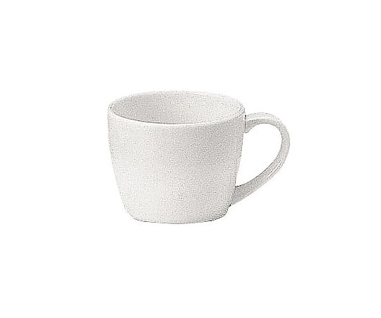 パティア A.D.カップ(6個入) 41623-6323画像