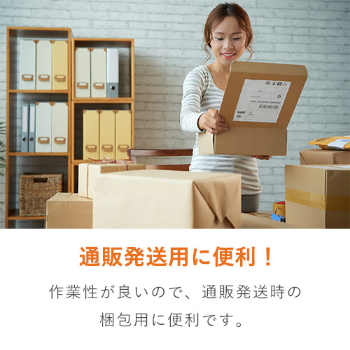 A4三つ折りサイズ！空気穴とテープ付きの透明OPP袋