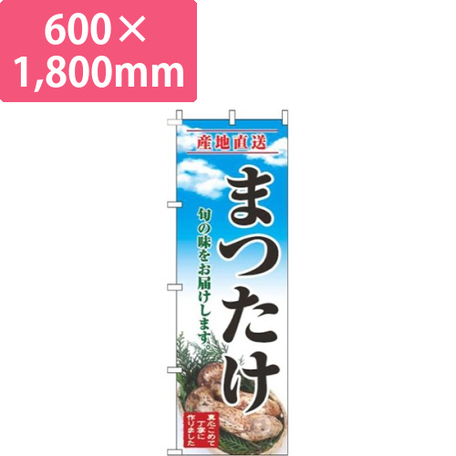 まつたけ青空明画像