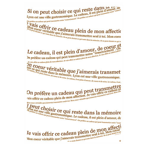 梨地平袋RホワイトL画像