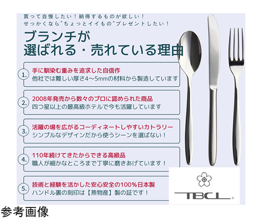 ブランチ ソーダスプーン 1本 ステンレスカトラリー 日本製 光沢のあるステンレス製のスプーンが横向きに配置されている様子