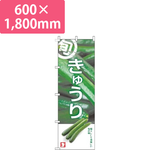きゅうり写真白画像