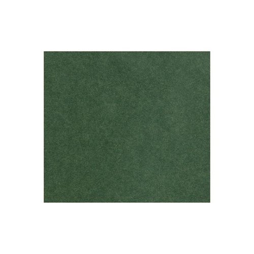 372 包装紙 ナチュラルカラー(緑) ベルベ [バラ販売]画像