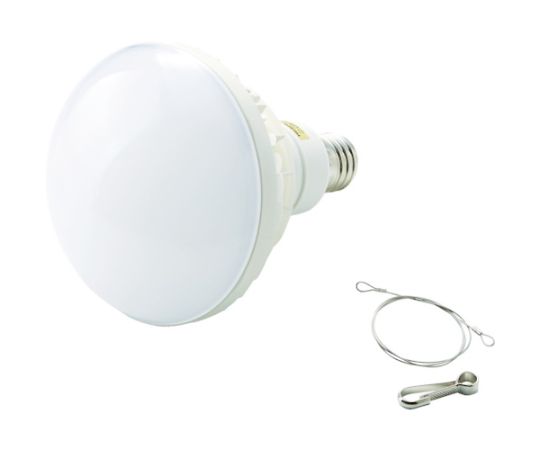LED投光器用　50W　LED球画像