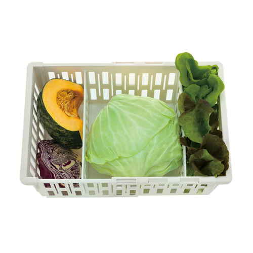 冷蔵庫収納　トトノ野菜・冷凍庫　伸縮ストッカー深型　レギュラー 透明な収納ケースに新鮮な野菜が収められた様子