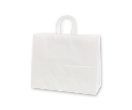 HEIKO 紙袋 25チャームバッグ 25CB 38-3 白無地50枚画像