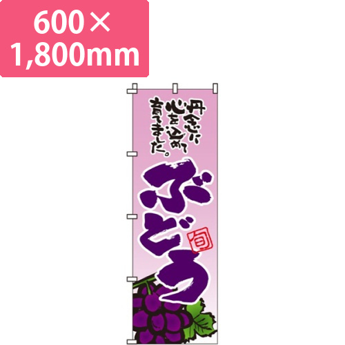 ぶどう画像