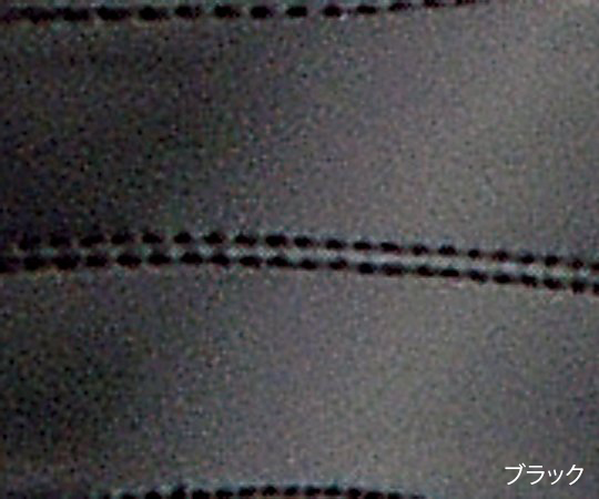 パーフェクトナース（ナースシューズ）ブラック S シャープなシルエットのシューズが斜めから見える状態