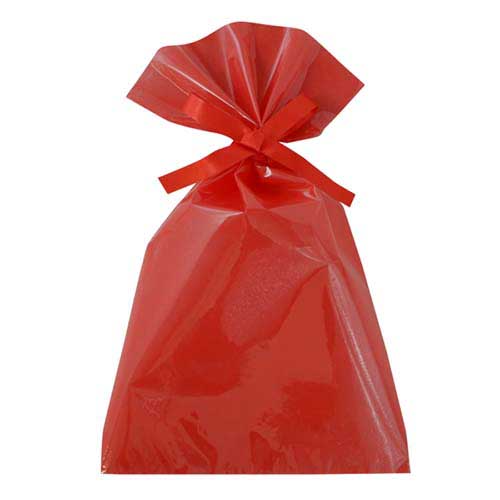 ソフトバッグクリア 2穴リボン巾着 S5 赤画像