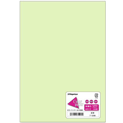 Color Paper A5 中厚口 若草 1冊(100枚)画像