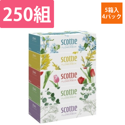 スコッティティシューフラワー250組×5箱4パック