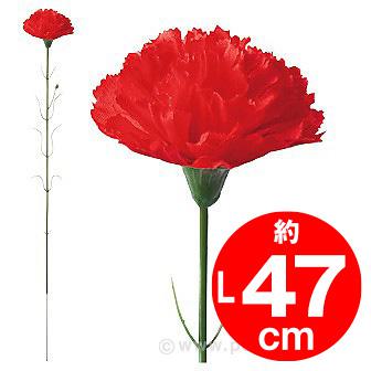 カーネーション（大）画像