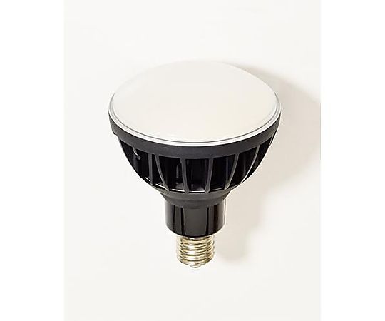 AC100V/  50W 電球(黒)画像