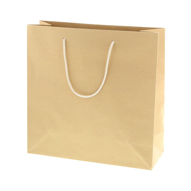 バンブーペーパーバッグ　３２－１２画像