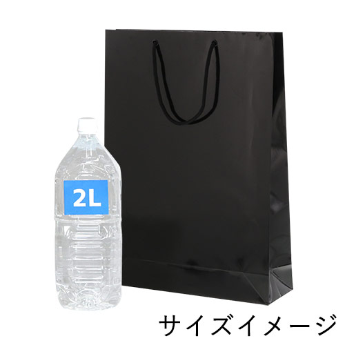 ツヤありのハトメ付手提げ紙袋！