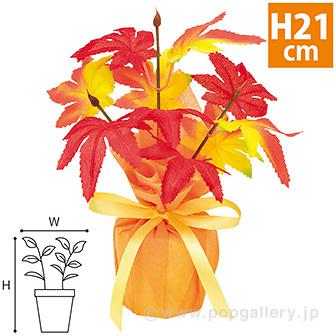もみじラッピングポット画像