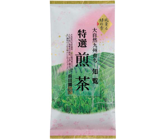 大自然九州育ち　知覧特選煎茶　100g画像