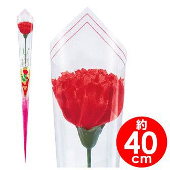 カーネーションかすみイラストラップ（中）画像