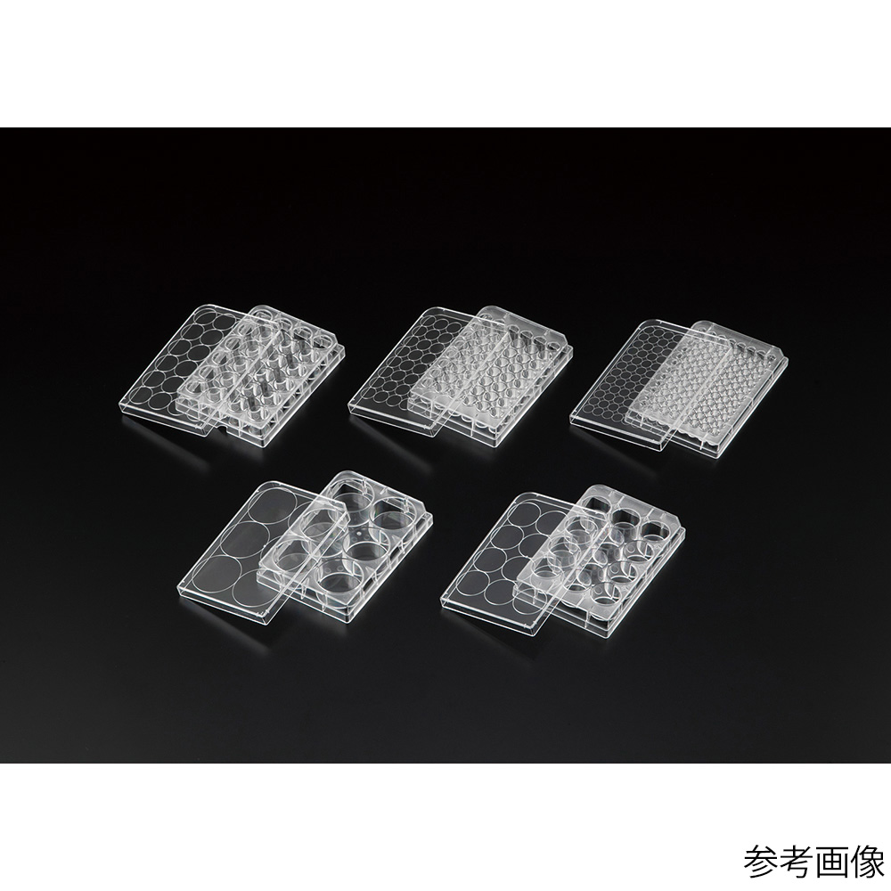 ビオラモ細胞培養プレートα 6ウェル 1箱(50包入)画像