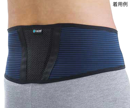 tamoto バックサポートベルト LL画像