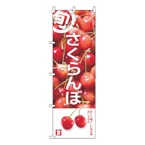 さくらんぼ写真白画像