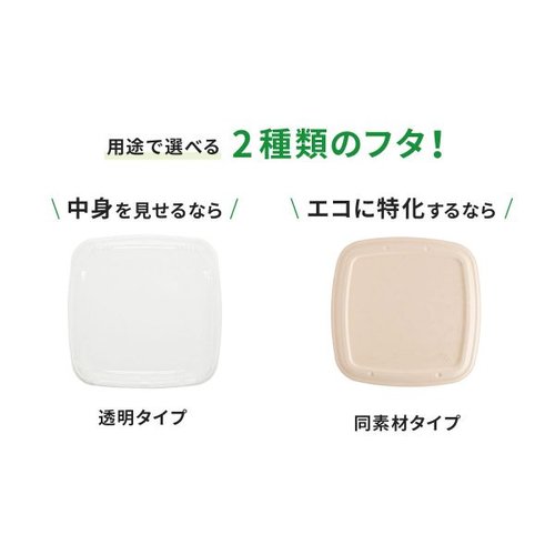 弁当容器 BB弁当 N24-20A ラミ パックスタイル 透明なフタがのったコンパートメント分けの弁当容器