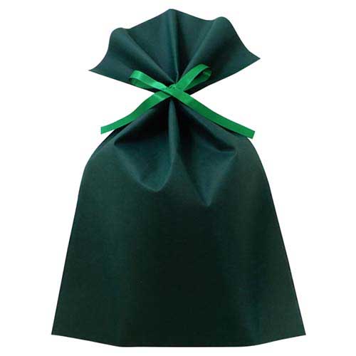 ソフトバッグベーシック2穴リボン巾着 S7 厚 グリーン画像