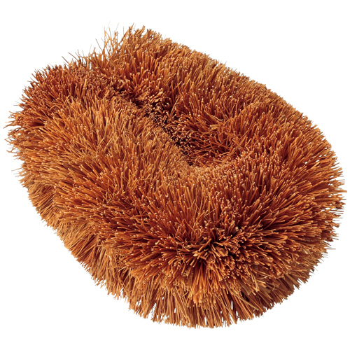 ﾊﾟｰﾑたわし 小型 1ｾｯﾄ(5個)画像