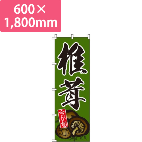 椎茸画像