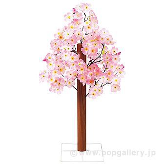 桜バリュー立木 (高さ：70cm）画像