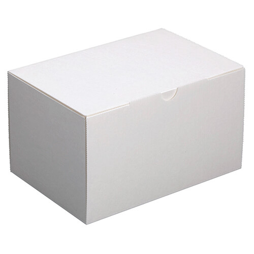 エコ洋生１０５＃９画像