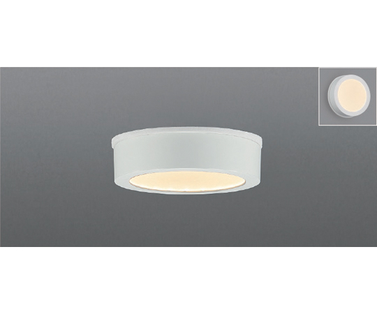 LED防雨防湿型CL　2700K（電球色）画像