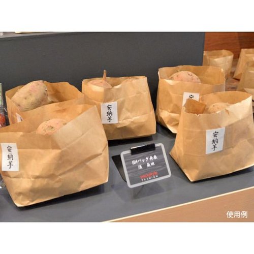 スタンド袋 SH舟底バッグ浅 無地 取手無 パックスタイル 浅い舟底の無地の袋が平らに置かれている様子