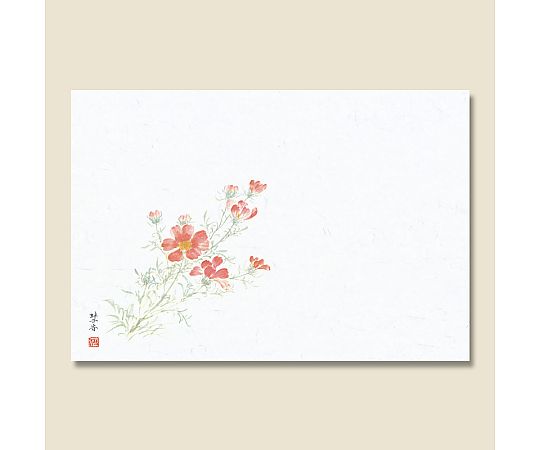 和風テーブルマット 輝シリーズ 17 秋桜(コスモス) 100枚画像