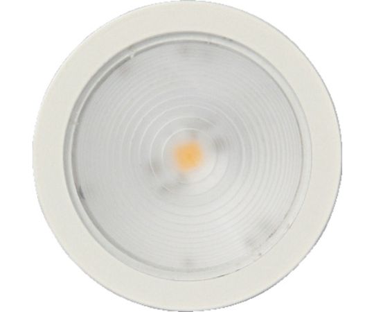 （220021821）LEDライト画像