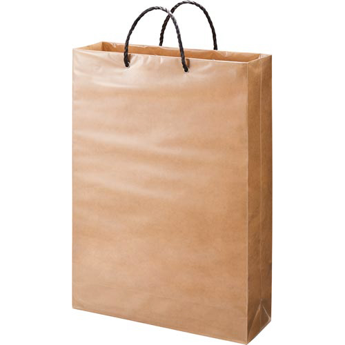 未晒しビニールカバーバッグ　特大　１０枚画像