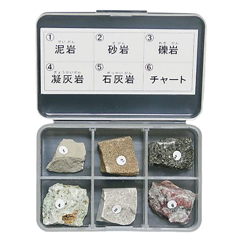 岩石標本（岩石標本堆積岩6種）画像