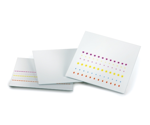 未修飾TLCプレート（蛍光指示薬F254） 50×100 ガラス 1箱（25枚入）