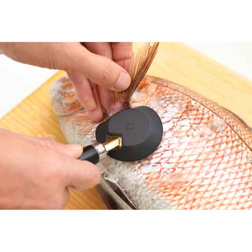 ウロコ取り　大人の焼魚　鱗とり 透明なプラスチックケースに収められた、シンプルなデザインの鱗とりが見える状態