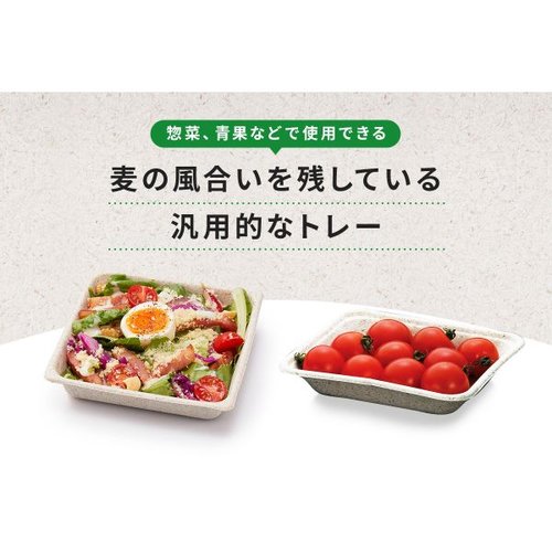 フルーツ容器 WB 16-11 パックスタイル 透明な容器にフルーツが詰まった上面の様子