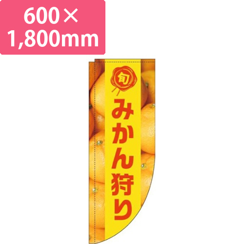みかん狩り写真黄色帯Rのぼり(棒袋仕様)画像