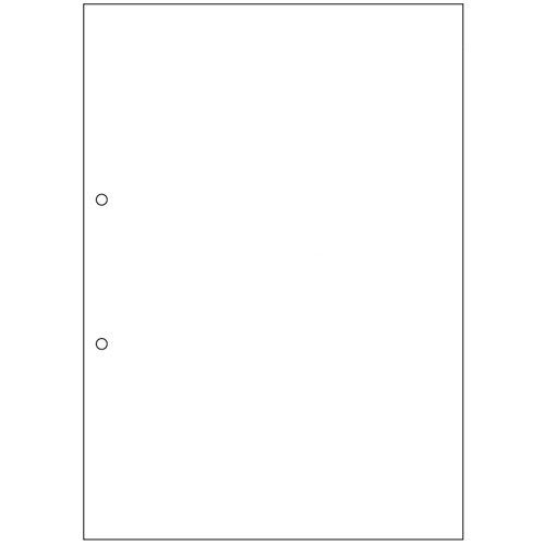 ﾏﾙﾁﾌﾟﾘﾝﾀ帳票(FSC森林認証紙) A4白紙 2穴 1ｾﾂﾄ(1000枚:500枚×2箱)画像