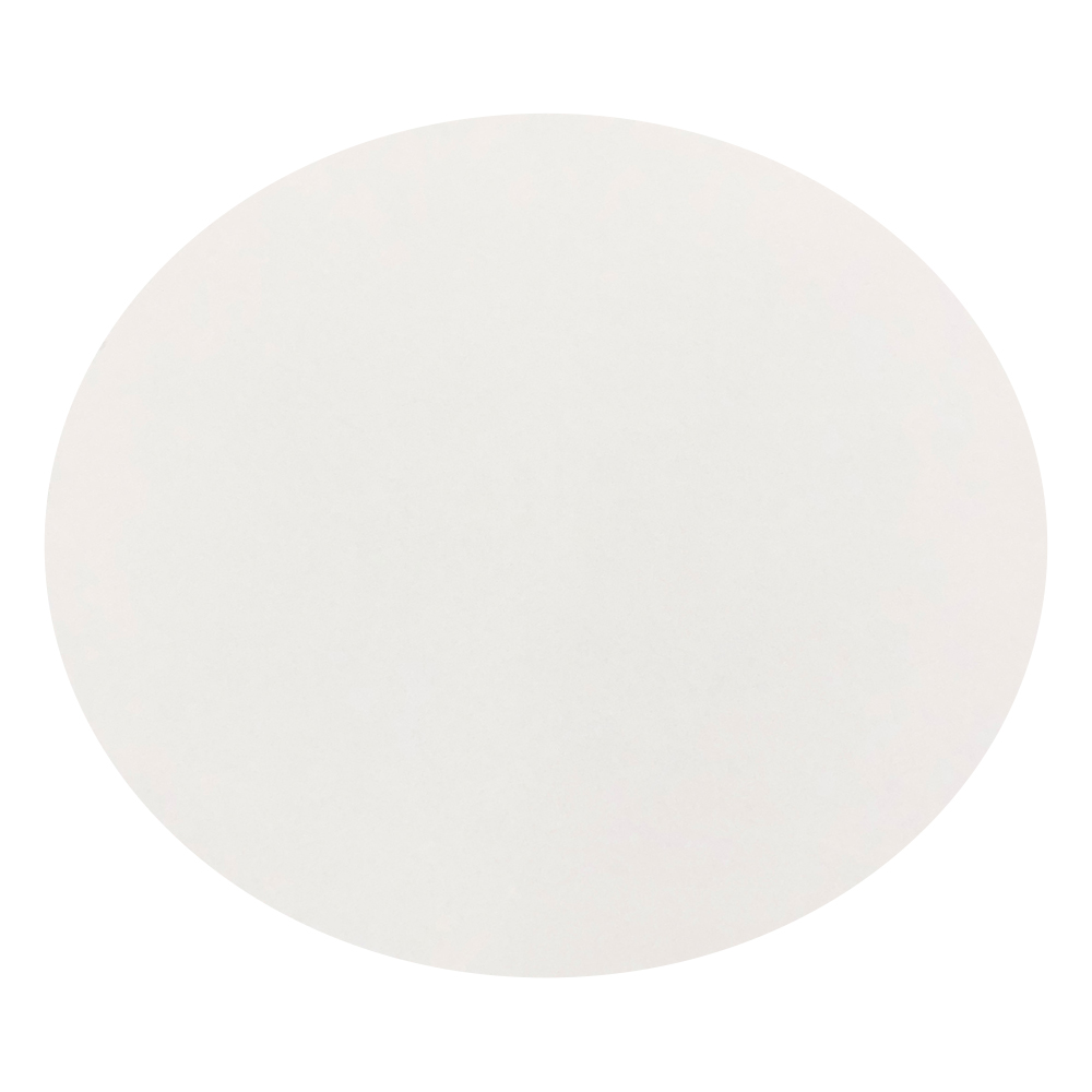 桐山ロート用濾紙　φ150mm　50枚入画像